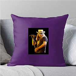 Ronnie Van Zant Fan Art Ronnie Van Zant Pillows Cover