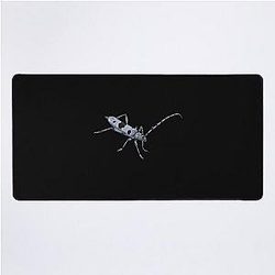 Rosalia Longicorn Desk Mat