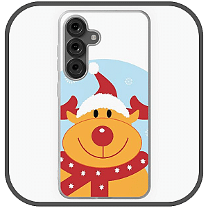 Rudolph Cases