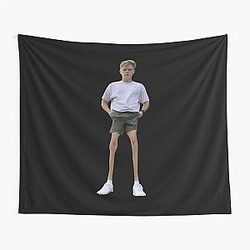 Ryan Trahan Tapestry