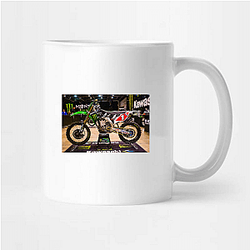 Ryan Villopoto is an AMA Hall of Famer Ryan Villopoto Mugs