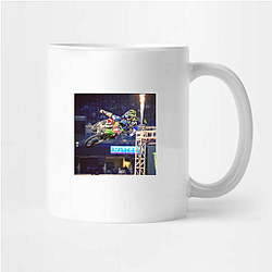 Ryan Villopoto won the Motocross des Nations Ryan Villopoto Mugs