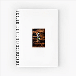 Ryan Villopoto won four Supercross titles Ryan Villopoto Notebook