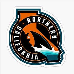 Art San Jose Sharks Sticker
