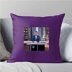 Scott Hanson Special Collection Scott Hanson Pillows Cover