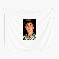 Scotty McCreery has had several number one hits Scotty Mccreery Tapestries