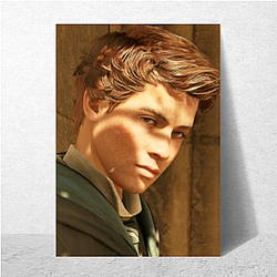 Sebastian Sallow Merch Collection Sebastian Sallow Posters