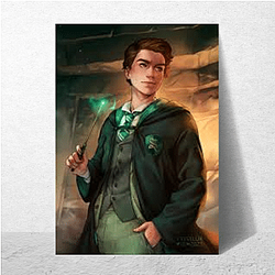 Sebastian Sallow Limited Collection Sebastian Sallow Posters