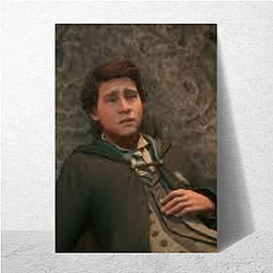 Sebastian Sallow Special Collection Sebastian Sallow Posters