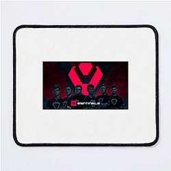 Sentinels competes in Valorant and Halo Sentinels Mouse Pads