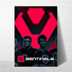 Sentinels competes in Valorant and Halo Sentinels Posters