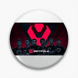 Sentinels competes in Valorant and Halo Sentinels Pins