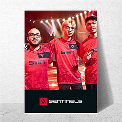 Sentinels is a premier American organization Sentinels Posters