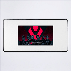 Sentinels competes in Valorant and Halo Sentinels Mouse Pads