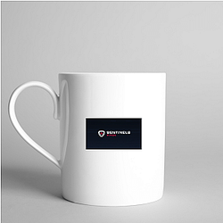 Sentinels is a top tier team Sentinels Mugs