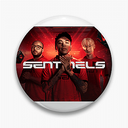 Sentinels won first Valorant international event Sentinels Pins