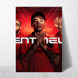Sentinels won first Valorant international event Sentinels Posters