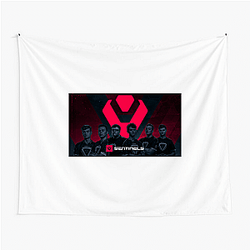 Sentinels competes in Valorant and Halo Sentinels Tapestries