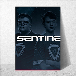Sentinels team is very popular Sentinels Posters