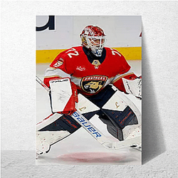Sergei Bobrovsky Merchandise For Fans Sergei Bobrovsky Posters