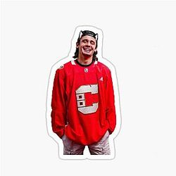 Seth Jarvis Cat Sticker