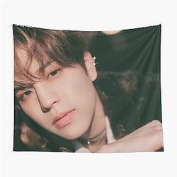 Stray Kids Seungmin Tapestry