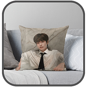 Seungmin Pillows Cover