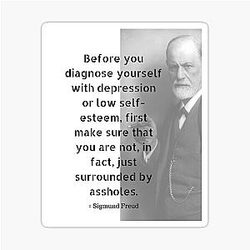 Sigmund Freud Quote Stick