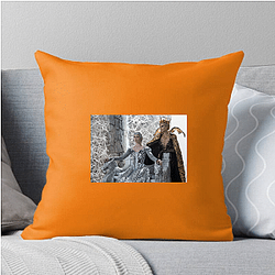 Snow White and the Huntsman received mixed reviews Snow White And The Huntsman Pillows Cover