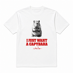 I Just Want A Capybara PTTT2907  Sombr T-Shirts