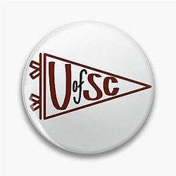 University of South Carolina Pennant Pin