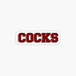 South Carolina Sticker