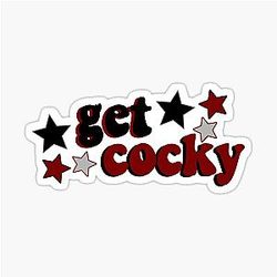 South Carolina Stars Sticker