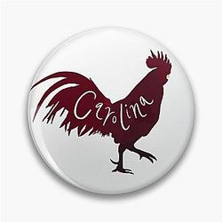 South Carolina Pin