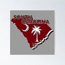 South Carolina Garnet Black Wall