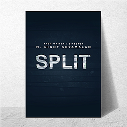Split Movie was directed by M Night Shyamalan Split Movie Posters