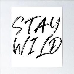 Stay Wild Poster