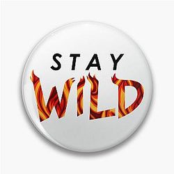 Stay at Pin
