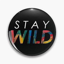 Stay Wild Ben Azelart