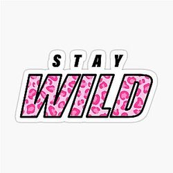 Stay Wild Merch