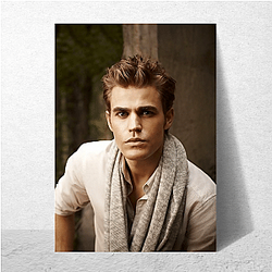 Stefan Salvatore Merchandise For Fans Stefan Salvatore Posters