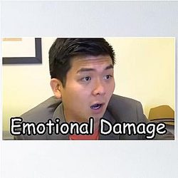 Emotional Damage Steven TikTok Poster