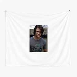 Academy Award Winner Steven R Mcqueen Tapestries