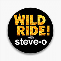 Audio Journey Steve Os Wild Ride Pins