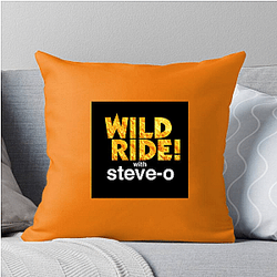 Audio Journey Steve Os Wild Ride Pillows Cover