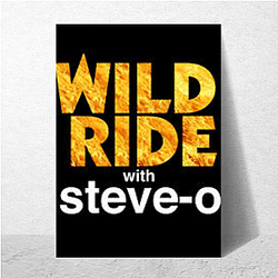 Audio Journey Steve Os Wild Ride Posters