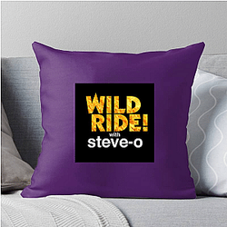 Audio Journey Steve Os Wild Ride Pillows Cover
