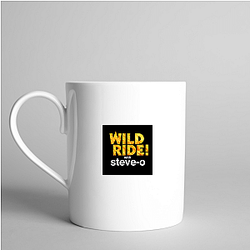 Audio Journey Steve Os Wild Ride Mugs