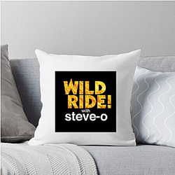 Audio Journey Steve Os Wild Ride Pillows Cover
