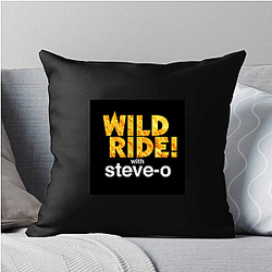 Audio Journey Steve Os Wild Ride Pillows Cover